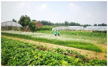 湘菜活动方案策划5篇