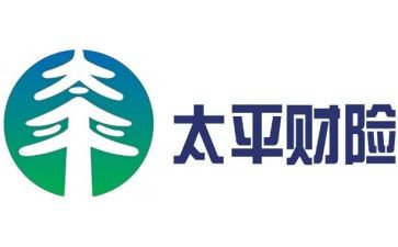 2024年财险公司工作总结7篇