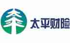 2024年财险公司工作总结7篇