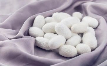 大班蚕和丝教案反思优秀7篇