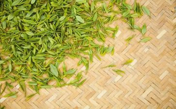 销售茶工作总结优秀5篇