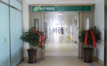房产科个人述职报告范文6篇