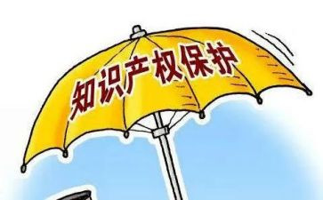 知识产权的心得体会6篇