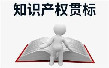 知识产权心得体会5篇