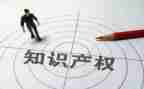 知识产权心得6篇