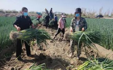 房产销售周工作计划优质8篇