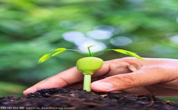 八上成长作文优质8篇