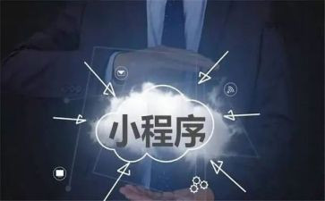 简易程序的述职报告7篇