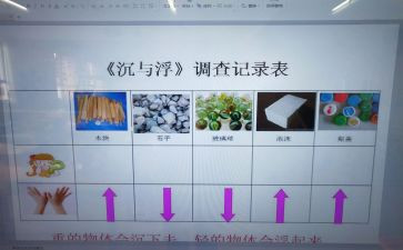 沉与浮小班教案模板6篇