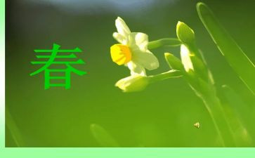 幼儿园画春天教案精选8篇