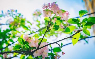 青春期教育教案7篇