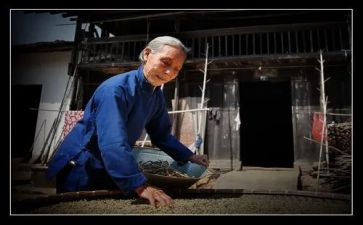 写《慈母情深》的读后感优质6篇