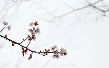 《匆匆》的读后感参考7篇