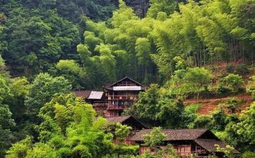 村党支部述职报告范文通用5篇
