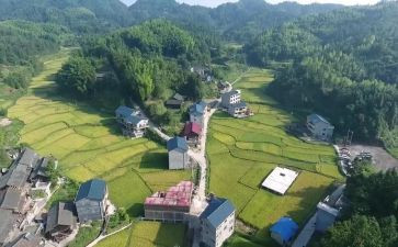 村年度工作述职报告6篇
