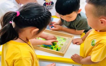 幼儿大班月计划工作计划模板7篇