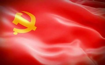 党代述职报告7篇