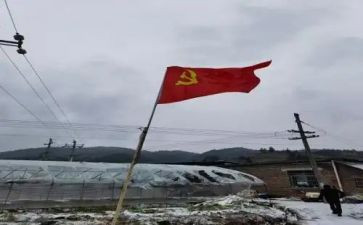 入党申请党员转正思想汇报8篇