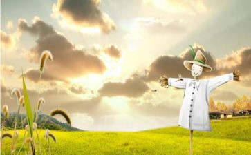 读《稻草人》读后感优质6篇