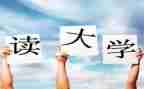 入大一的个人总结最新7篇