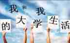 入大一的个人总结精选5篇
