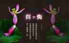 我的得与失作文300字7篇