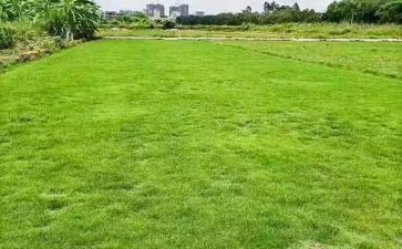 地理老师工作计划6篇