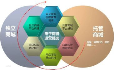 电商述职报告范文6篇
