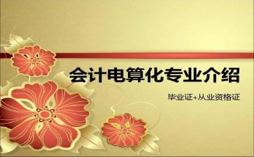 电算化个人总结8篇
