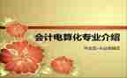 电算化个人总结8篇