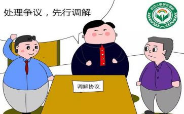 大调解调研报告7篇