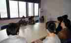 顶岗工作总结精选8篇