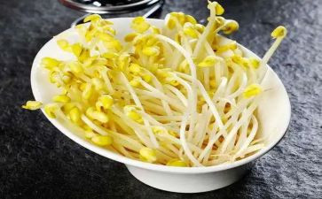 豆芽生长记作文8篇