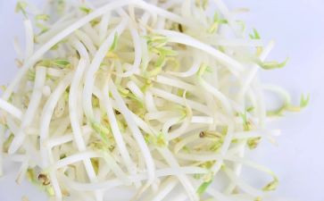 豆芽生长记作文6篇