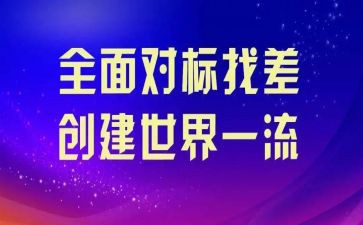 对标计划的工作总结5篇