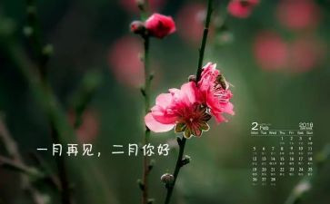 二月的工作计划5篇