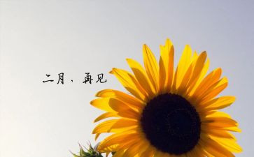 二月的工作计划优秀5篇