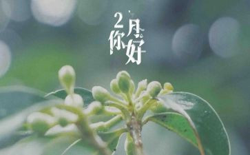 二月的工作计划精选5篇