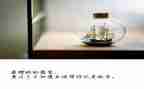 放飞青春梦想的演讲稿5篇