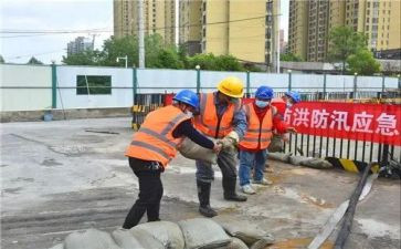 2024年防洪水作文6篇