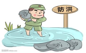 区防汛工作总结模板5篇