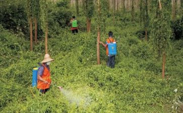 职业病防治宣传活动总结7篇