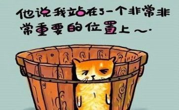体育教案及反思8篇