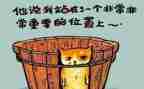反思和工作总结优质6篇