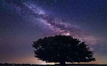 繁星读后感600字6篇
