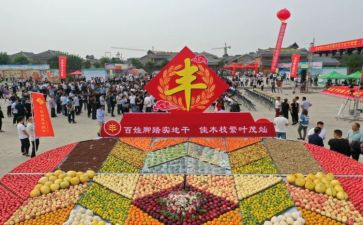 中国农民丰收节活动方案7篇
