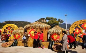 农民丰收节活动方案优秀6篇