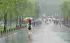 风雨中作文500字作文优质5篇