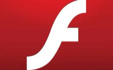 flash的心得体会8篇