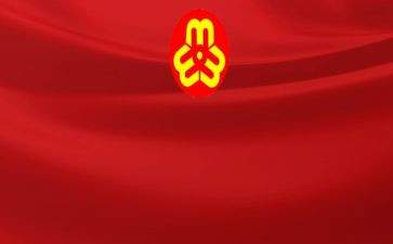 村妇联工作半年总结5篇